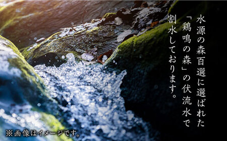 【12/25入金分まで年内発送】麦米焼酎 対馬やまねこ 25度 720ml 2本セット 酒 米焼酎 麦焼酎 焼酎  [WAX009]