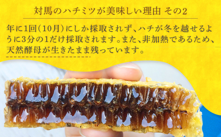 対馬 ニホンミツバチ 巣蜜 はちみつ 稀少 蜂蜜 ハチミツ [WAM022]