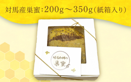 対馬 ニホンミツバチ 巣蜜 はちみつ 稀少 蜂蜜 ハチミツ [WAM022]