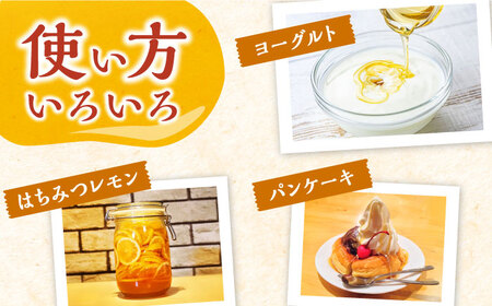 対馬 天然 和蜂 蜂蜜 180g 1瓶 ニホンミツバチ ハチミツ [WAI089]