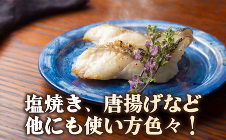 【2025年11月より順次発送】クエ 切り身 / 肝 セット 約1.5kg  海鮮 魚介 珍しい 高級   [WBO001]