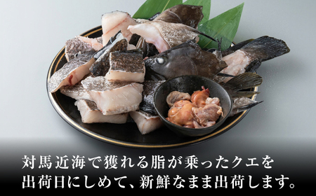 【2025年11月より順次発送】クエ 切り身 / 肝 セット 約1.5kg  海鮮 魚介 珍しい 高級   [WBO001]