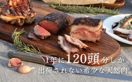 極上 ジビエ スパイス ロースト セットジューシー 赤身 肉 お肉 鹿肉 猪肉 [WBH039]