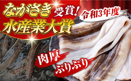 対馬産 天然あなごの開き500g×2《対馬市》【すし処慎一】国産 肉厚 穴子 アナゴ 新鮮 冷凍 白焼き 天ぷら 揚げ物 贈り物 [WCO002]