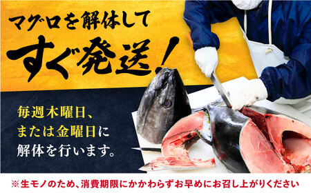 対馬産 生 本マグロ 500g （赤身、中トロ、大トロ）《対馬市》【対海】 中トロ 大トロ まぐろ マグロ 鮪 [WAH025]