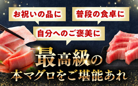 対馬産 養殖 本マグロ 中トロ 800ｇ(5パック) マグロ 鮪 まぐろ 本鮪 中とろ  [WAH019]