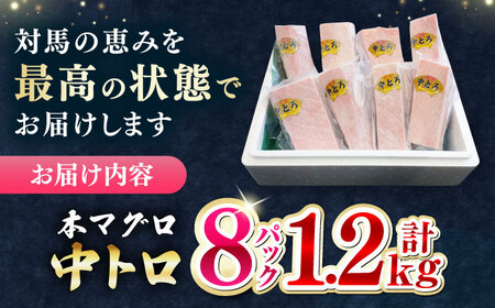 対馬産　養殖本マグロ中落ち・切り落とし 2 kg（200g×10P） 対馬産 養殖本マグロ中落ち・切り落とし 1.2 kg : 対馬のまぐろ