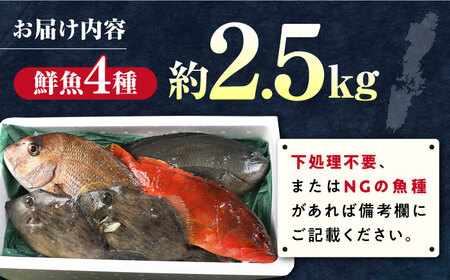 【期間限定！】対馬産 鮮魚 詰め合わせ 4種前後 2.5kg 新鮮 天然 直送 セット [WAH021]