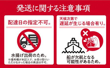 【期間限定！】対馬産 鮮魚 詰め合わせ 4種前後 2.5kg 新鮮 天然 直送 セット [WAH021]
