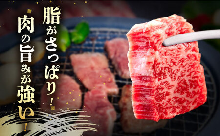 長崎和牛 あか牛 焼肉用 1kg (500g×2)《対馬市》【株式会社Tsukushi】 対馬 牛 和牛 焼肉 冷凍配送[WCR004]