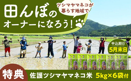 対馬 佐護 ツシマヤマネコ 米 田んぼオーナー1年権【ツシマヤマネコ米30kg付き】（対馬市）【一般社団法人MIT】 米作り体験 田植え 体験 稲刈り 離島 チケット  九州 長崎 [WAP015]