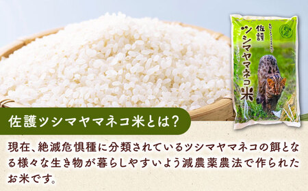 対馬 佐護 ツシマヤマネコ 米 田んぼオーナー1年権【ツシマヤマネコ米30kg付き】（対馬市）【一般社団法人MIT】 米作り体験 田植え 体験 稲刈り 離島 チケット  九州 長崎 [WAP015]