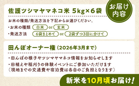 対馬 佐護 ツシマヤマネコ 米 田んぼオーナー1年権【ツシマヤマネコ米30kg付き】（対馬市）【一般社団法人MIT】 米作り体験 田植え 体験 稲刈り 離島 チケット  九州 長崎 [WAP015]