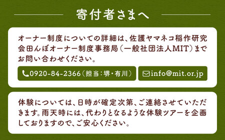 対馬 佐護 ツシマヤマネコ 米 田んぼオーナー1年権【ツシマヤマネコ米30kg付き】（対馬市）【一般社団法人MIT】 米作り体験 田植え 体験 稲刈り 離島 チケット  九州 長崎 [WAP015]