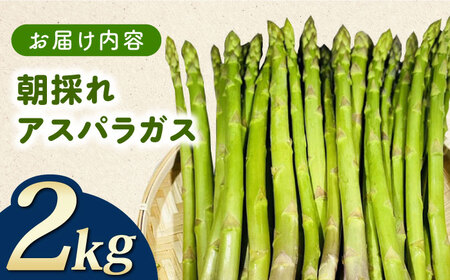 【先行予約】訳あり！朝採れアスパラガス2kg 【3月中旬以降順次発送】《対馬市》【農家くんのアスパラファーム】  冷蔵 アスパラ とれたて 新鮮 野菜　産地直送 [WCT002]