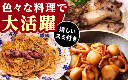 訳あり 剣先イカ 1.8kg(3パック)  [WAC051] いかいかいかいかいかいかいかいかいか