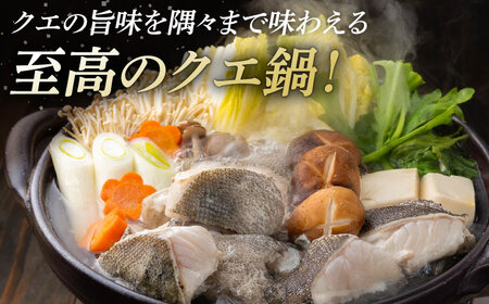 【全2回定期便】幻の魚 クエ 鍋 セット 800g [WAD050] ちり鍋 アラ くえ