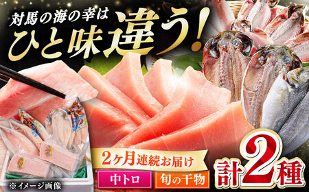 【全2回定期便】対馬産 本マグロ 中トロ300g ＆干物 新鮮 マグロ 鮪 [WAH031]