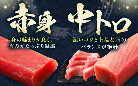 【全2回定期便】対馬産 本マグロ 3種 計450g（赤身/中トロ/ネギトロ）マグロ 鮪 赤身 中トロ ねぎとろ [WAH032]
