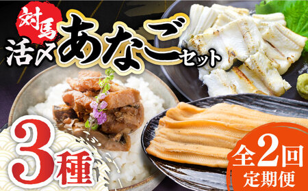【全2回定期便】対馬 産 活〆 あなご セット 煮あなご 佃煮 アナゴ [WAC053]