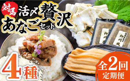【全2回定期便】対馬産 あなご 贅沢 セット 煮あなご 佃煮 アナゴ  [WAC054]