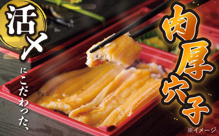 【全2回定期便】対馬 煮あなご膳 セット  アナゴ  [WAC057]