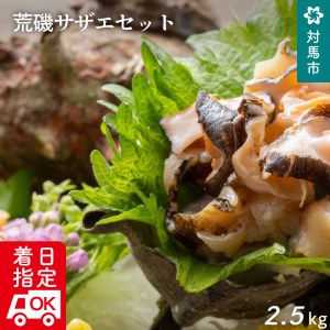 A-148　荒磯サザエセット　2.5kg