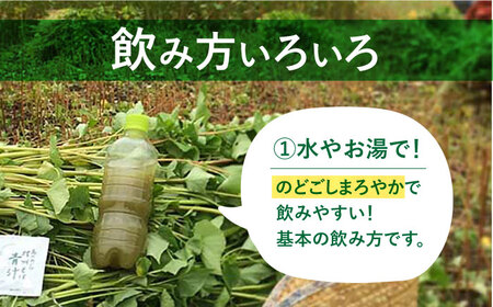 【島のめぐみ 対州そば】 青汁 30日分 / コーヒー / 焼き菓子 セット そば 美容 健康  [WAM009]