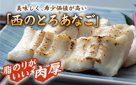 対馬産 穴子 詰め合わせ 10PAC [WAV002]  とろ あなご 煮穴子 