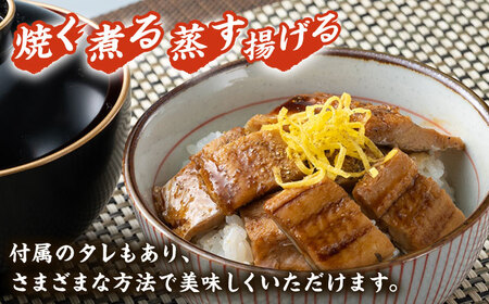 対馬産 穴子 詰め合わせ 10PAC [WAV002]  とろ あなご 煮穴子 