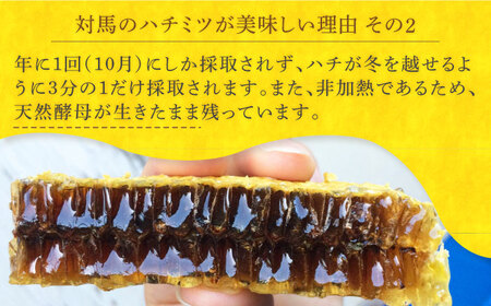 対馬 はちみつ 600g×2  蜂蜜 ハチミツ 日本ミツバチ 二ホンミツバチ [WAM030]