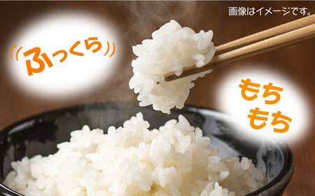 【2025年10月頃より順次発送】佐護 ツシマヤマネコ 米 5kg×2  米 玄米 新米 減農薬 ねこ [WAP023]