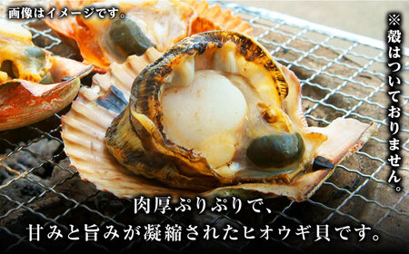 ヒオウギ貝　むき身　2個串刺し×9パック [WCS012] 肉厚 ひおうぎ貝 下処理済 貝 新鮮 