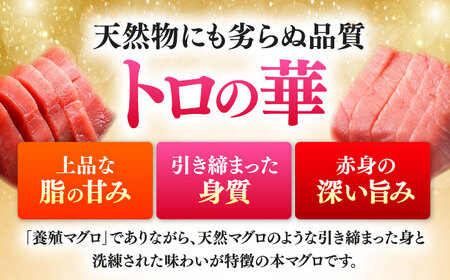 【全3回定期便】訳あり！対馬産 本マグロ 切り落とし 350g（5パック） トロの華 冷凍 新鮮 海鮮 小分け マグロ[WAQ020]