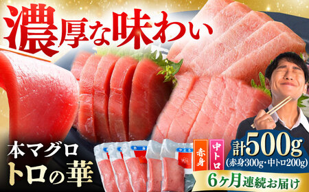 【全6回定期便】対馬産 本マグロ 500g（赤身300g、中トロ200g） トロの華 対馬 新鮮 マグロ トロ 鮪 刺身 [WAQ045]