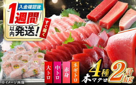 【1週間以内発送】対馬産 本マグロ 4種 計2kg（赤身/中トロ/大トロ/ネギトロ）[WAH027] まぐろ トロ 中とろ スピード発送 最速発送 最短発送