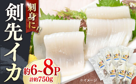 剣先イカ 750g(約6〜8本) セット【丸徳水産】《対馬市》鮮度抜群 新鮮 ケンサキイカ シロイカ 下処理済 刺身 BBQ 惣菜 天ぷら フライ 海鮮[WAE012]