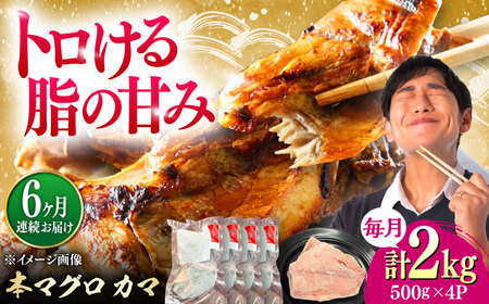 【全6回定期便】対馬産 本マグロ カマ 2kg ≪対馬市≫【桐谷商店】 トロの華 対馬 新鮮 マグロ かま 鮪[WAQ105]