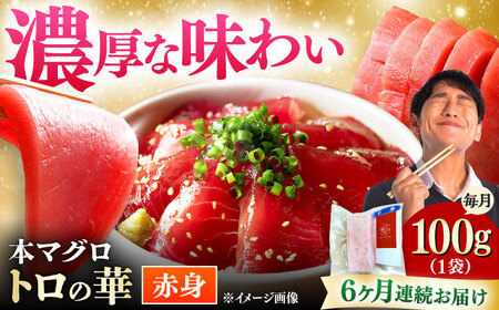 【全6回定期便】対馬産 本マグロ 赤身100g ≪対馬市≫【桐谷商店】 トロの華 対馬 新鮮 マグロ 赤身 鮪 刺身[WAQ109]