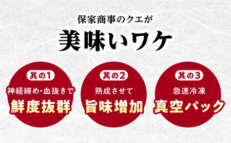 【24年11月より順次発送】対島産 幻の高級魚 クエ 500g《対馬市》【保家商事】 冷凍配送 くえ アラ 切身 海鮮 鮮魚 魚介 [WAA004]