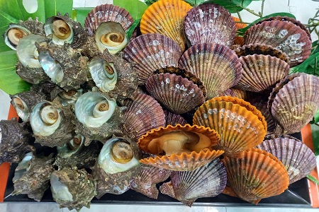 B-087 対馬近海さざえ・ヒオウギWセット