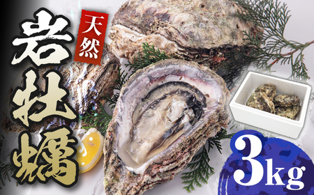 天然 岩ガキ 3kg [WAD001] 天然 岩ガキ かき 国産 九州 長崎 対馬 牡蠣  大容量 海鮮 海産物 シーフード 