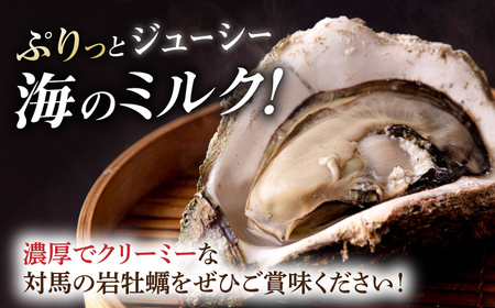 天然 岩ガキ 3kg [WAD001] 天然 岩ガキ かき 国産 九州 長崎 対馬 牡蠣  大容量 海鮮 海産物 シーフード 