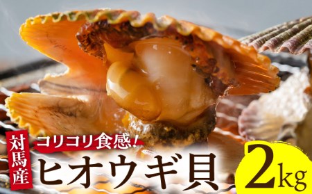 対馬 2枚貝 ヒオウギ 貝 2kg [WAD002] ヒオウギ貝 貝類 ひおうぎ貝 大