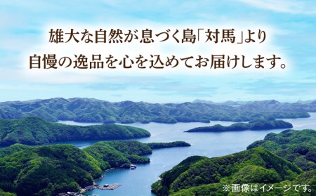 対馬 さざえ ヒオウギ貝 セット 計2kg《対馬市》【海風商事】天然 サザエ 国産 九州 長崎 海鮮 BBQ [WAD003]産地直送 冷凍 冷蔵 栄螺 ひおうぎ貝 新鮮 魚介 対馬 つしま バーベキュー BBQ 浜焼き 貝類  酒蒸し おつまみ おかず 詰め合わせ 海鮮セット