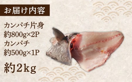 対馬 カンパチ 3枚おろし 約2kg [WAD010] 冷蔵 カンパチかんぱち