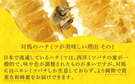 最高級　日本蜜蜂　蜂蜜　約4キロ日本蜜蜂
