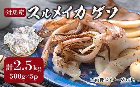 対馬産 スルメイカ ゲソ 2.5kg  [WAE009] イカゲソ スルメイカ げそ いか 天ぷら するめいか  