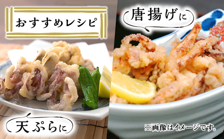 対馬産 スルメイカ ゲソ 2.5kg  [WAE009] イカゲソ スルメイカ げそ いか 天ぷら するめいか  