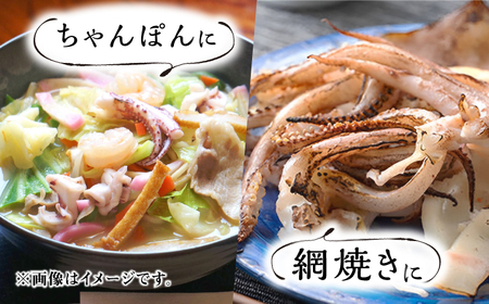 対馬産 スルメイカ ゲソ 2.5kg  [WAE009] イカゲソ スルメイカ げそ いか 天ぷら するめいか  